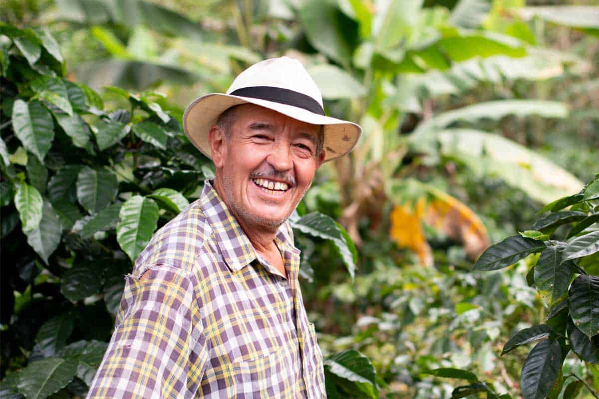 autodeclaracao rural