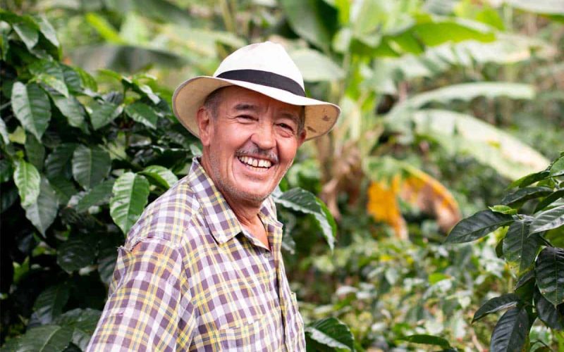 autodeclaracao rural